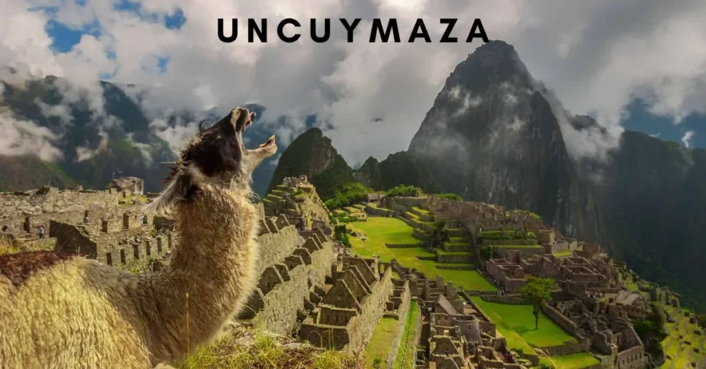 Uncuymaza: The Rise of a Digital-Era Enigma