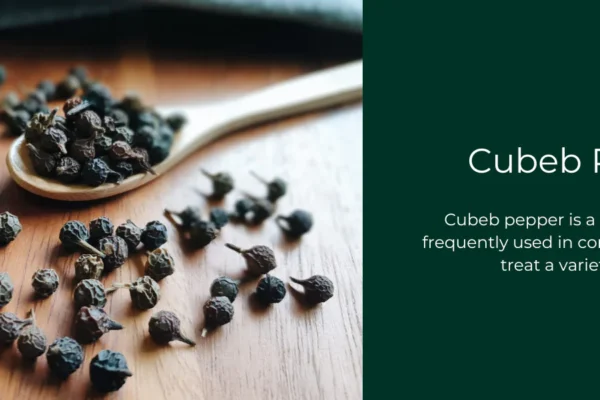Cubeb Pepper: A Forgotten Spice with Powerful Benefits and a Rich History