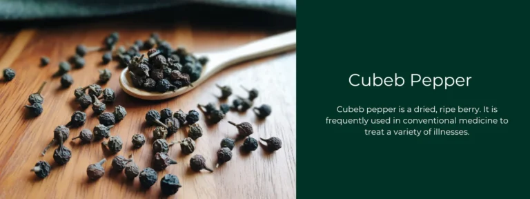 Cubeb Pepper: A Forgotten Spice with Powerful Benefits and a Rich History